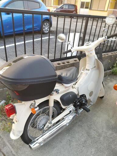 リトルカブ　８万円