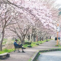 関西地域で気楽に話せるお友達募集します！