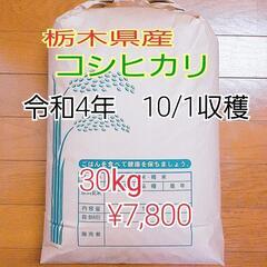 新米コシヒカリ30kg　令和4年度　栃木県産