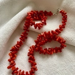 ✳︎✴︎✳︎ 激レア希少品 ✳︎✴︎✳︎ サルディニア珊瑚 赤サンゴ 天然 本物