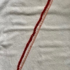 ✳︎✴︎✳︎ 激レア希少品 ✳︎✴︎✳︎ サルディニア珊瑚 赤サンゴ 天然 本物