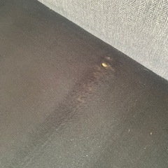 Francfrancのソファ3人がけ