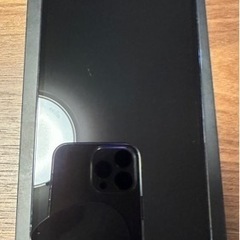 Apple iPhone 13 Pro Max 1TB SIMフリー水色　シエラブルー　バッテリー良好