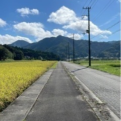 ソロキャン、BBQ、釣り、ツーリングの画像