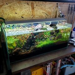 498★岐阜発　△Land Gear△LG8100/クロスバイク/LG CARBON/2×8段変速/フロントタイヤパンク/走行未確認/防犯有り/ジャンク品　R5.6/16★-【訳あり】水槽台  90cmまで可能