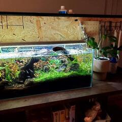 498★岐阜発　△Land Gear△LG8100/クロスバイク/LG CARBON/2×8段変速/フロントタイヤパンク/走行未確認/防犯有り/ジャンク品　R5.6/16★-【訳あり】水槽台  90cmまで可能