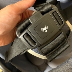 アップリカ　ラグーナビッテクッション(アカチャンホンポ限定モデル)