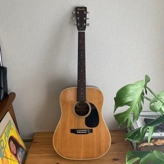 【ネット決済】Morris アコースティックギター W-18 幌...