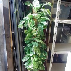 フェイクグリーン　160ｃｍ　インテリアグリーン　人工　観葉植物...