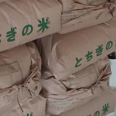 【去年のお米🌾残り2袋🫶】古米🌾