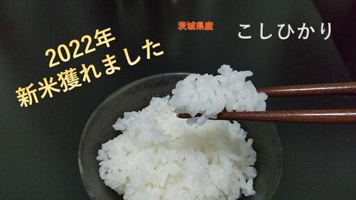 感動を呼ぶお米　令和4年　新米　玄米　23キロを白米に精米 感動を呼ぶお米 令和4年 新米 玄米 23キロを白米に