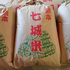 新米予約【七城米】ヒノヒカリ 玄米・30キロ