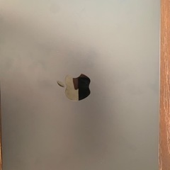 MacBook Air ミッドナイト　M2チップ　256GB 2022モデル