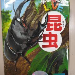 10/12まで  図鑑 4冊セット（昆虫、動物、自然大図鑑、地球...