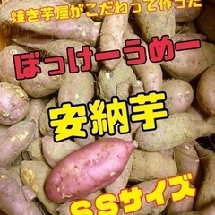 焼き芋屋がこだわってつくった【安納芋おやつサイズ5kg】