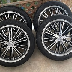 アローネコラソン