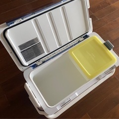 ダイワ 3面真空パネル クーラーボックス 35L  プロバイザー トランクHD TSS3500 ダイワクーラーボックス