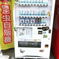 京都発！話題の昆虫自販機設置場所を探しています。