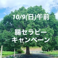 10月体験キャンペーン - いわき市