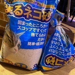 固まる猫砂(決まりました)