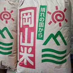 岡山県産新米きぬむすめ 玄米30kg