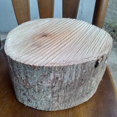 ムクの木 薪割り台① 小さめサイズ