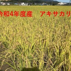 令和4年度産　もち米５ｋｇ～