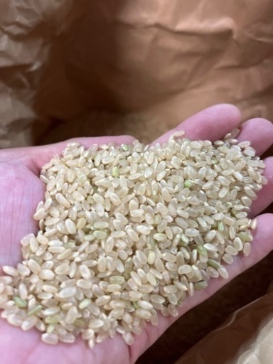 令和4年度　アイガモ農法　棚田米　八代市東陽町産　ヒノヒカリ　減農薬　30kg