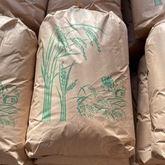 お米　令和4年収穫　コシヒカリ　30kg