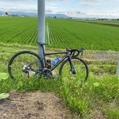 specialized tarmac sport 44サイズ　2021