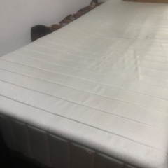 🛏【シングルベッド】完売