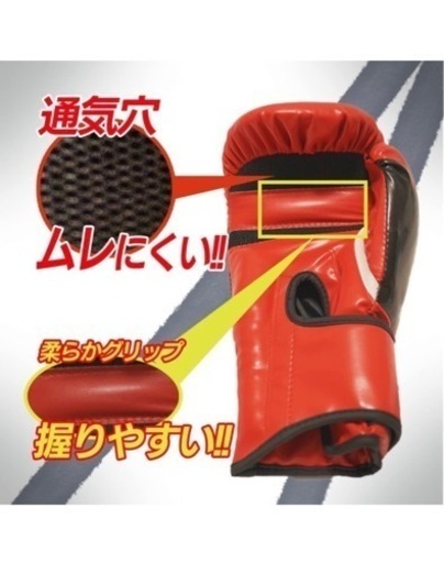 格闘技セット Dr.F 格闘技の運動学 koの解剖学 カラテで勝つ格闘技