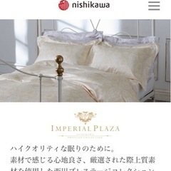 定価20万IMPERIAL PLAZA 西川カシミヤ毛布 2枚組