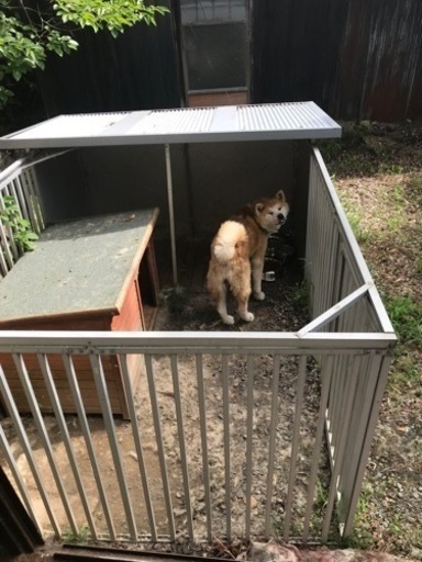 新潟市西蒲区。犬用の檻です。大型犬にピッタリ。