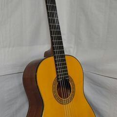 Washburn/Classical  C40  Guitar