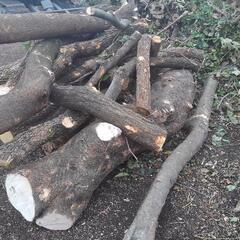 原木 広葉樹 薪 薪用に