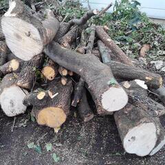 薪原木 原木 広葉樹 薪 薪用に