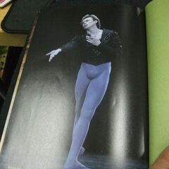 踊る男たち―バレエのいまの魅惑のすべて 単行本 2008/9/1
