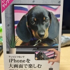 iPhone用　ミラーリングケーブル　