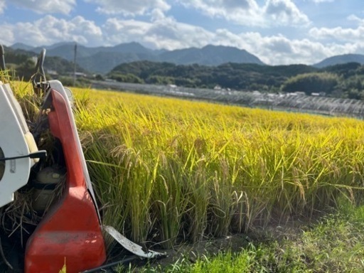 令和4年度 八代市東陽町産 ヒノヒカリ 棚田米 30kg