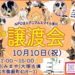 10/10(祝・月) 子犬＆子猫 譲渡会＠アニマルスマイル香川