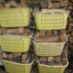 薪ストーブ用、乾燥薪ケヤキ全部で4000円、長４０ｃｍ、太さバラ...