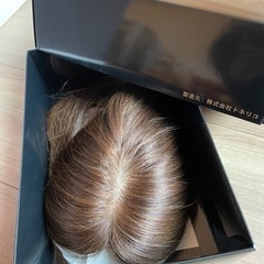 ヘアピース　ウィッグ　高級品ハイベル