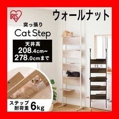 キャットタワー 突っ張り 壁面 おしゃれ 省スペース ウォールナット