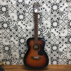 hotaka model hf-201 guitar
