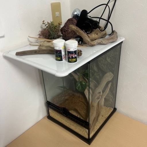爬虫類飼育セット