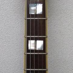 Vantage ヴァンテージ 655 フルアコースティックギター 本体のみ 各種