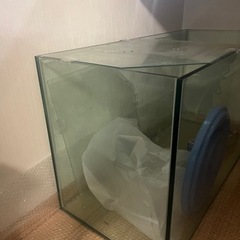 【急募】GEX 90センチ水槽！メダカ　熱帯魚