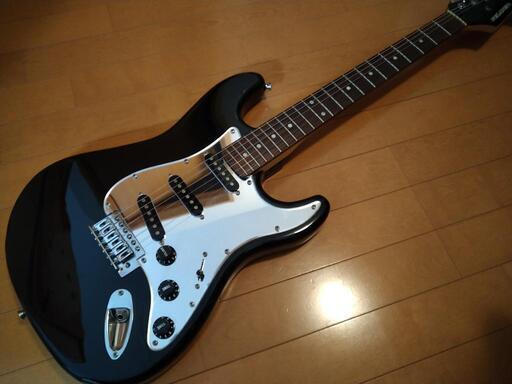 SELDER ストラトモデル ミラーピックガード