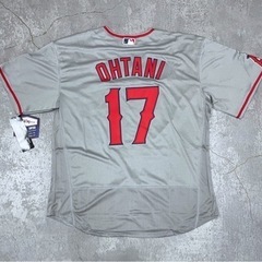 若井良一、【浅春千曲川】、希少な限定額装用画集画、新品高級額 額装